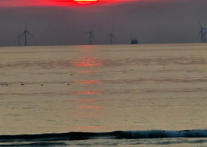 Moana 1 * Egmond aan Zee