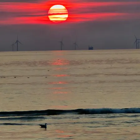Moana 1 * Egmond aan Zee