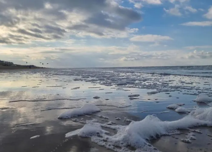 Апартаменты Moana 1 *